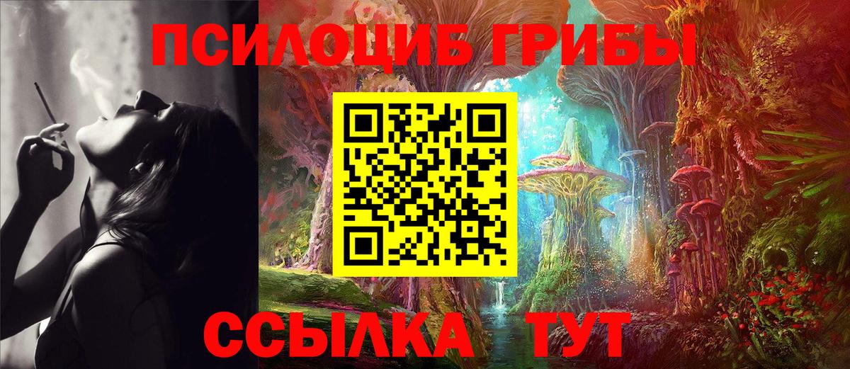Галлюциногенные грибы прущие грибы  Вход с VPN  Кирово-Чепецк 